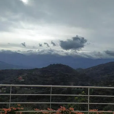 Orgoni * Patellari